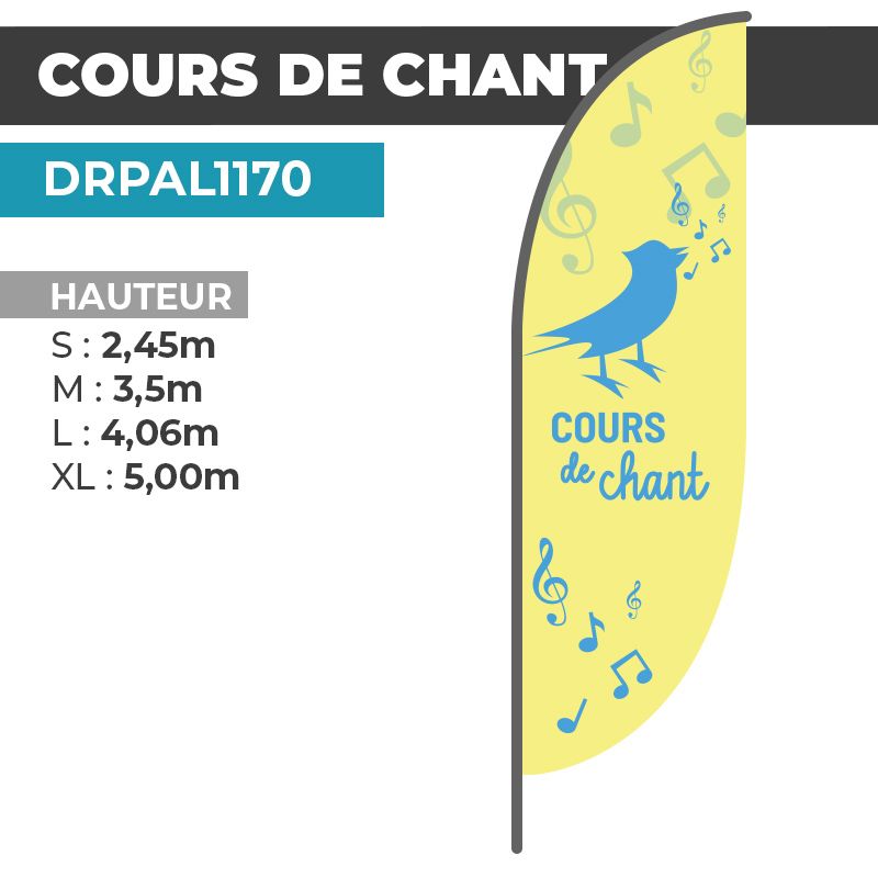 Drapeau COURS DE CHANT