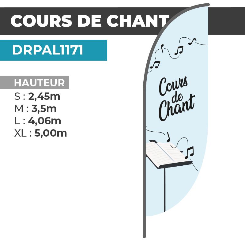 Drapeau COURS DE CHANT