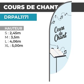 Drapeau COURS DE CHANT