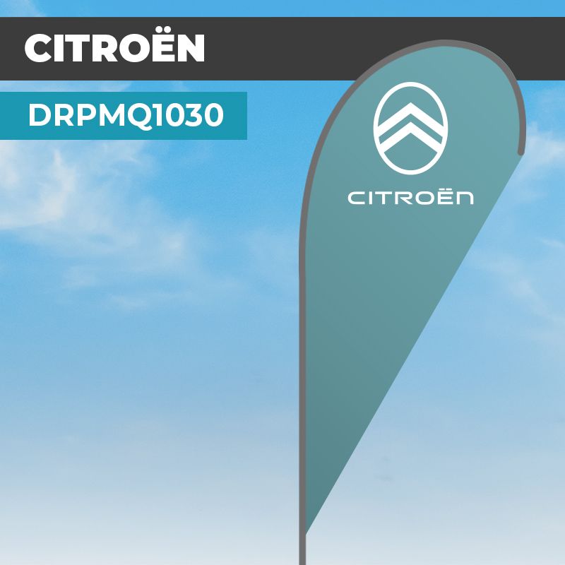 Drapeau CITROÊN