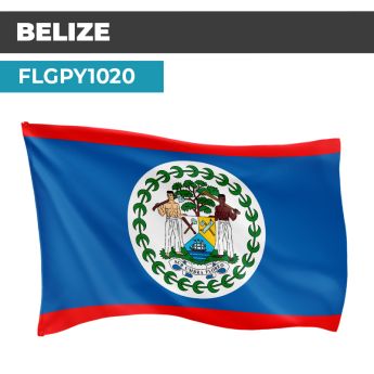 Drapeau BELIZE