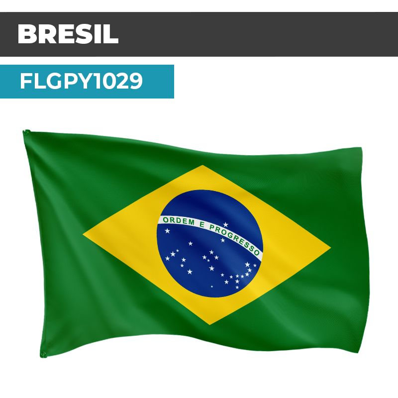 Drapeau BRESIL