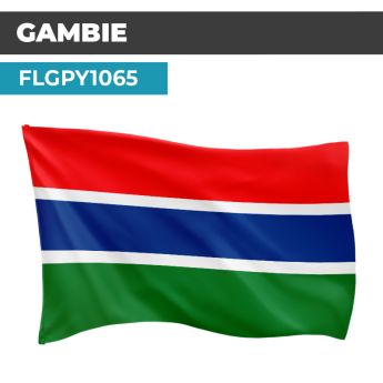 Drapeau GAMBIE