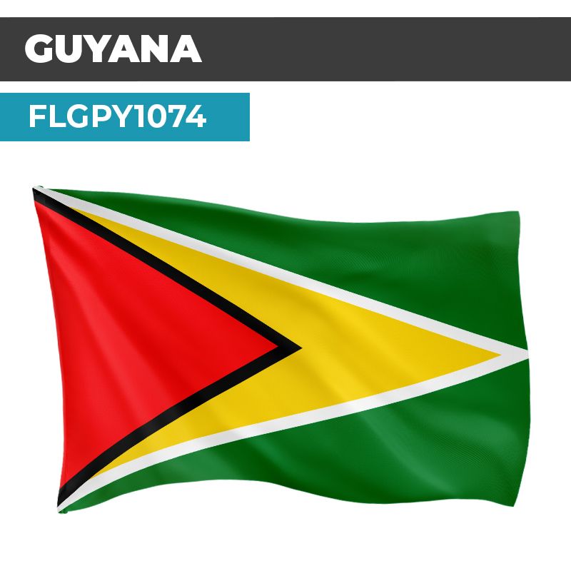 Drapeau GUYANA