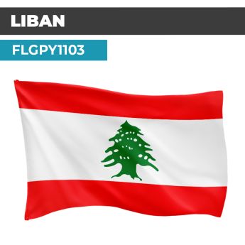 Drapeau LIBAN