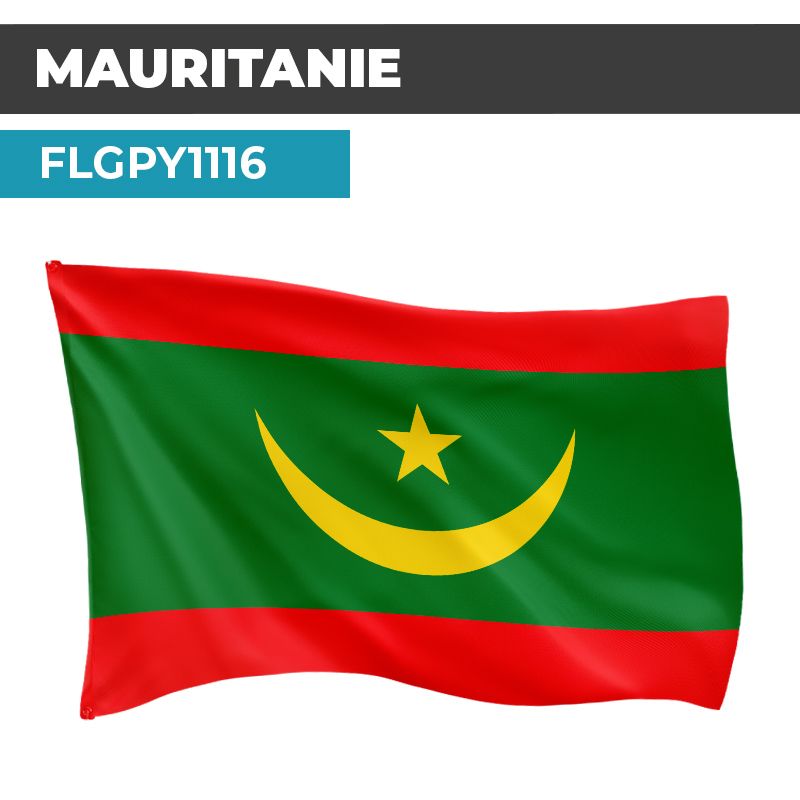 Drapeau MAURITANIE