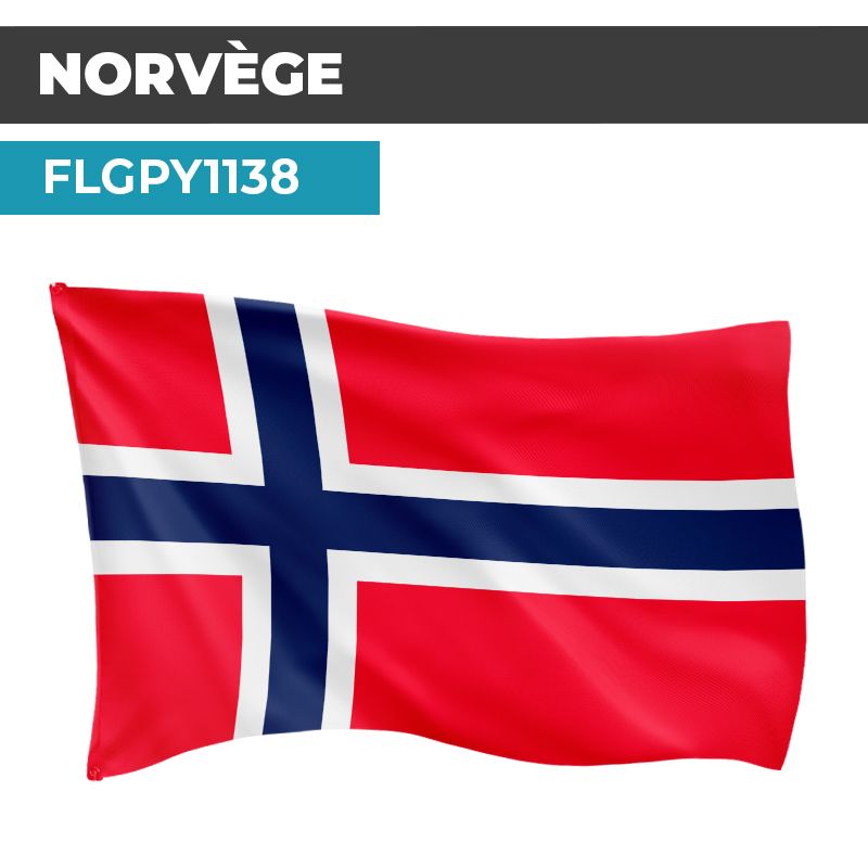 Drapeau NORVÈGE