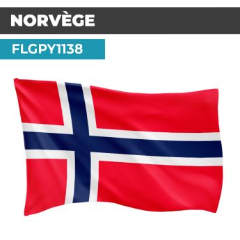 Drapeau NORVÈGE