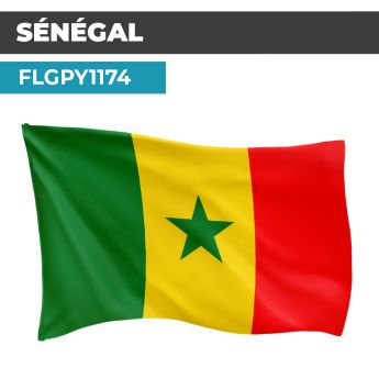 Drapeau SÉNÉGAL