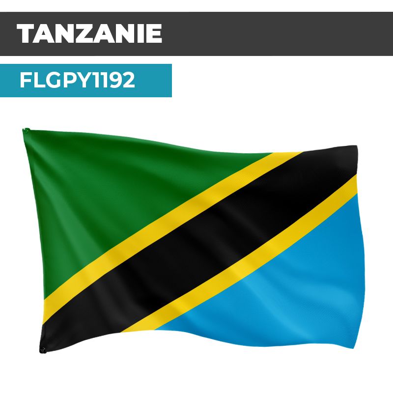 Drapeau TANZANIE