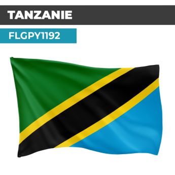 Drapeau TANZANIE
