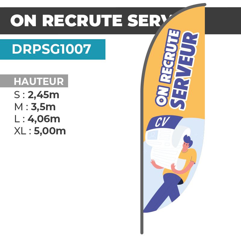 Drapeau ON RECRUTE SERVEUR