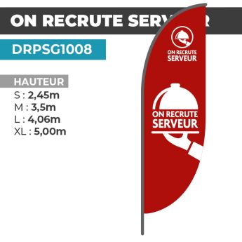 Drapeau ON RECRUTE SERVEUR