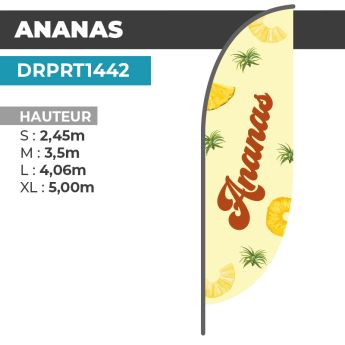 Drapeau ANANAS