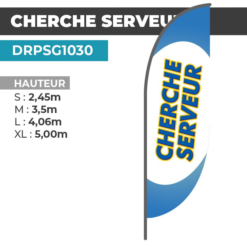 Drapeau CHERCHE SERVEUR