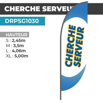 Drapeau CHERCHE SERVEUR