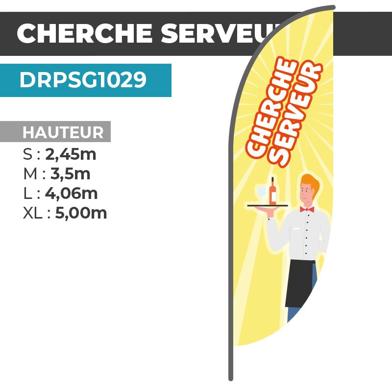 Drapeau CHERCHE SERVEUR