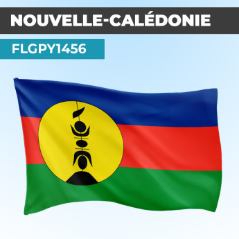 Drapeau NOUVELLE CALEDONIE | Pavillon | Provinces Françaises