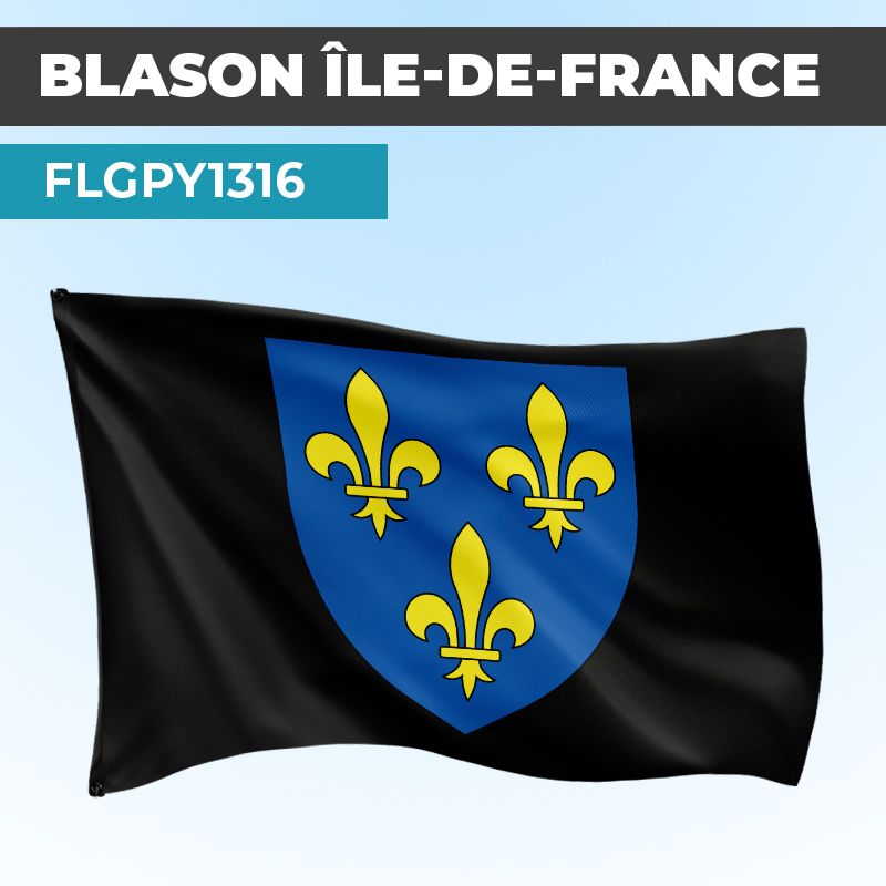 Drapeau ILE DE FRANCE | Pavillon Noir | Blason Armoirie