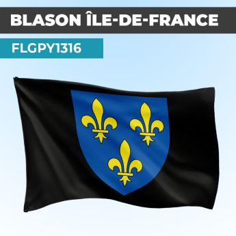 Drapeau ILE DE FRANCE | Pavillon Noir | Blason Armoirie