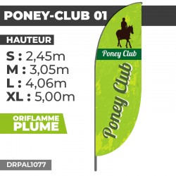 Oriflamme PONEY-CLUB 01