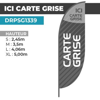 copy ofcopy ofcopy ofcopy ofcopy ofcopy ofcopy ofcopy ofcopy ofDrapeau ICI CARTE GRISE | Voile + Mat | avec ou