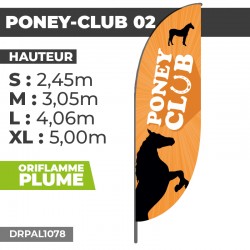 Oriflamme PONEY-CLUB 02