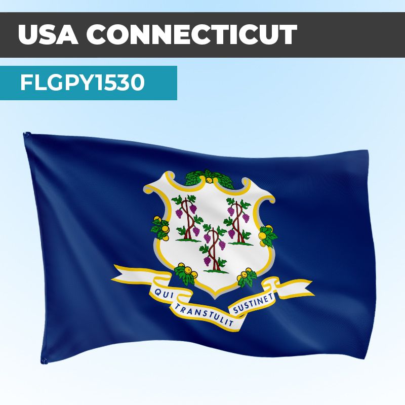 Drapeau CONNECTICUT | Pavillon | États Américains