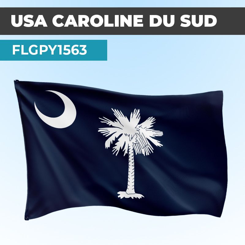 Drapeau CAROLINE DU SUD | Pavillon | États Américains