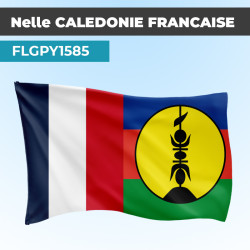 Drapeau Nouvelle Calédonie...