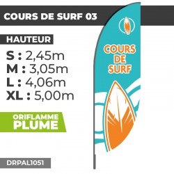 Oriflamme COURS DE SURF 03