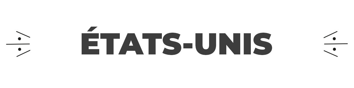 Drapeaux États-Unis : national et états officiels | Qualité Professionnelle