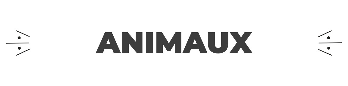 Drapeau publicitaire Animaux – Oriflamme pour commerces et services